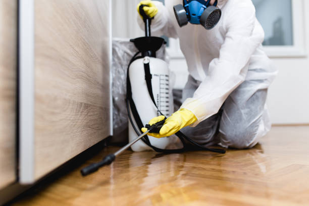 Best Affordable Exterminators  in Enigma, GA