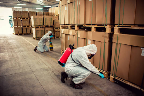 Best Bed Bug Extermination  in Enigma, GA