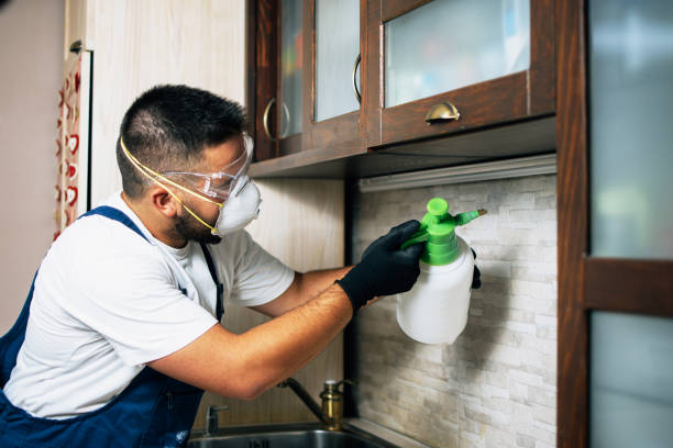 Best Wasp Removal Services  in Enigma, GA