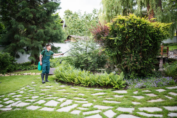 Best Local Pest Control Services  in Enigma, GA