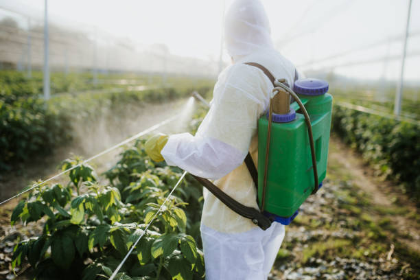 Best Pest Inspection Near Me  in Enigma, GA